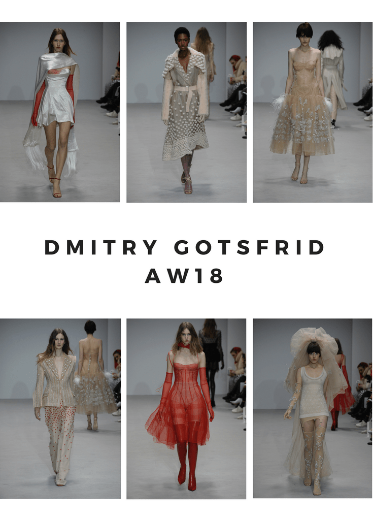 DMITRY GOTSFRID AW18-2