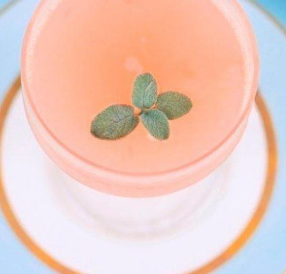 rose revolution by carina tsou