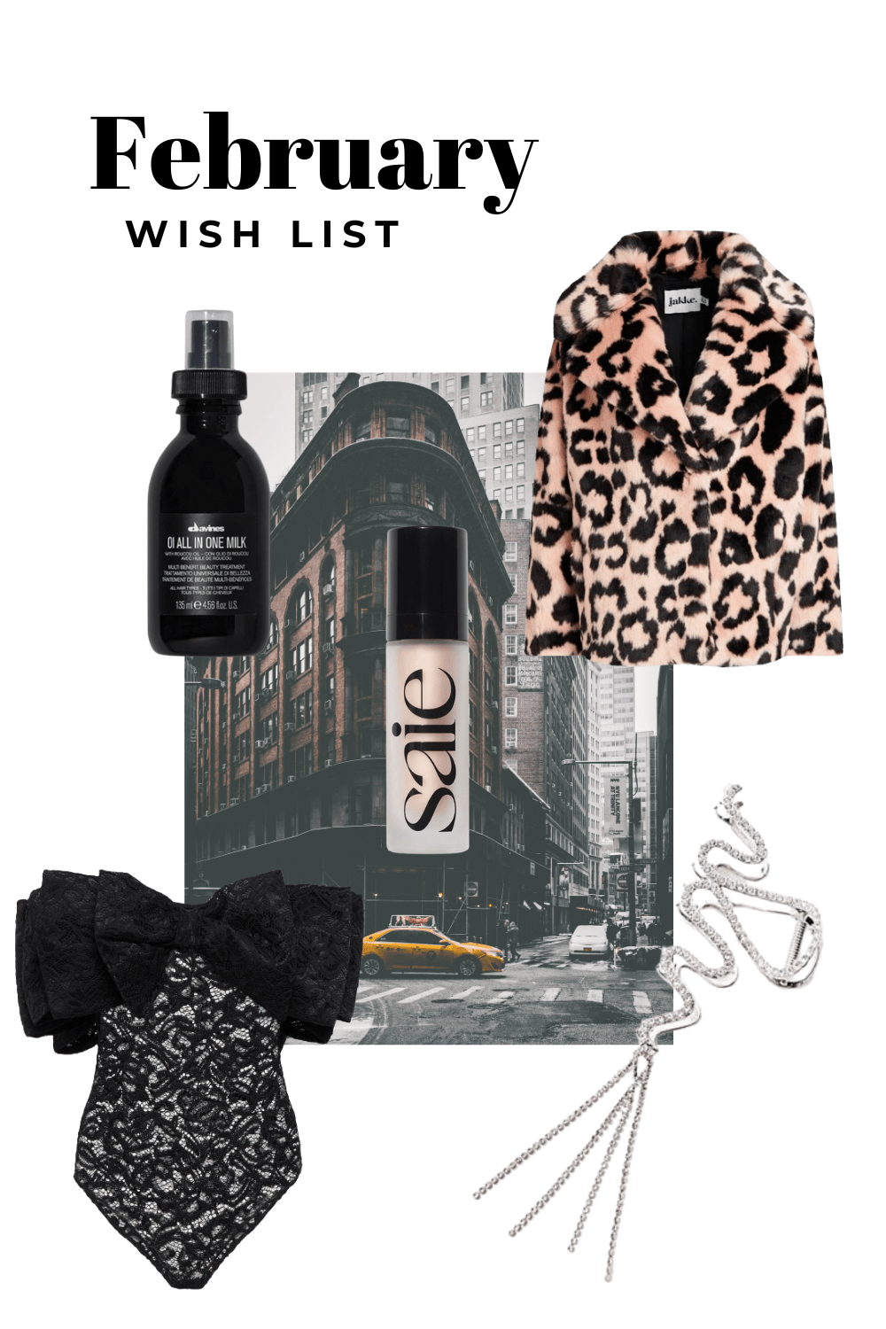 February Wish List